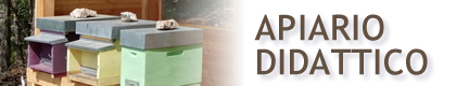 Apiario Didattico di Besenello