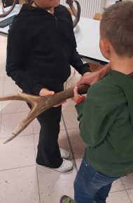 Bambini con palco di cervo